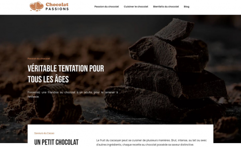 https://www.chocolatpassions.com